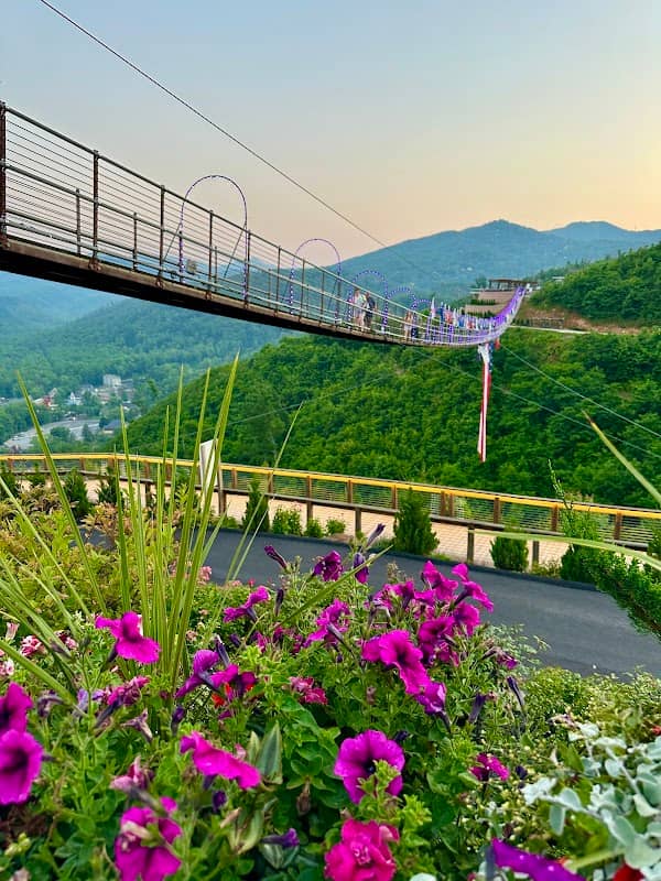 Skybridge - Image 2