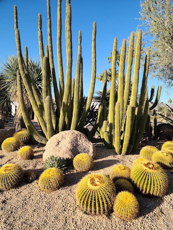 Carefree Desert Gardens - Image 1