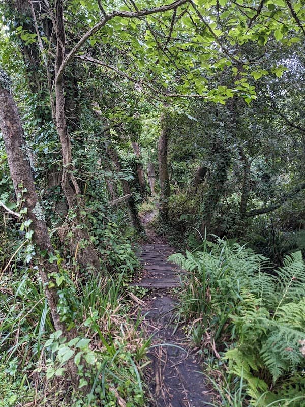 Holy Vale Nature Walk - Image 1