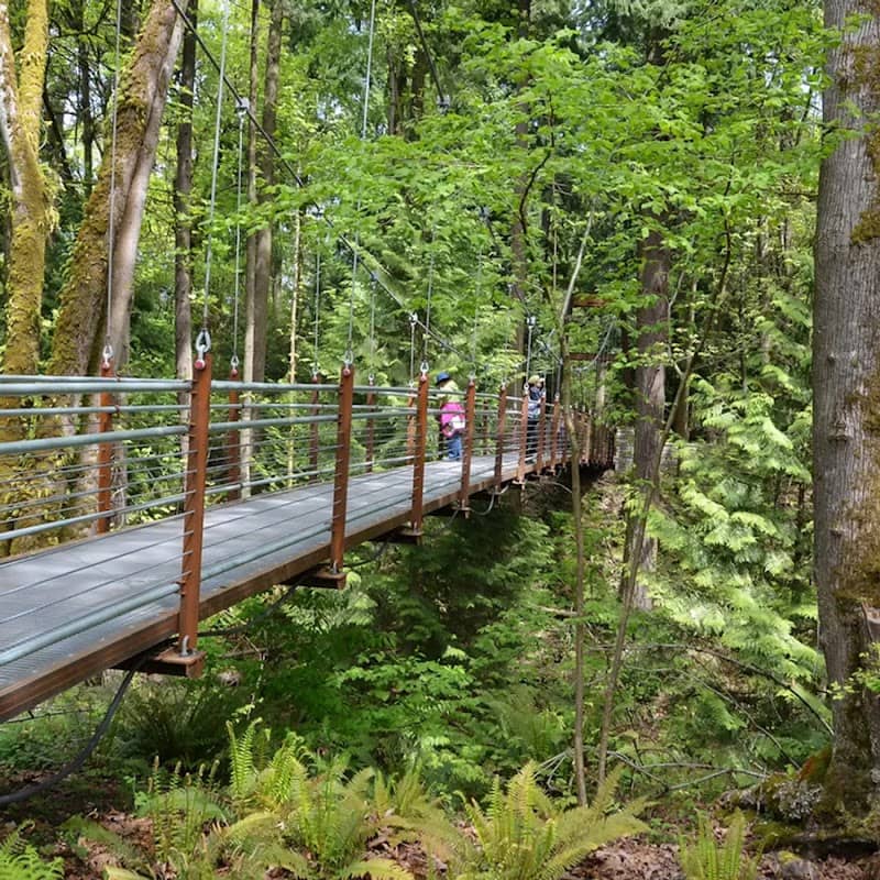 Bellevue Botanical Garden - Image 1