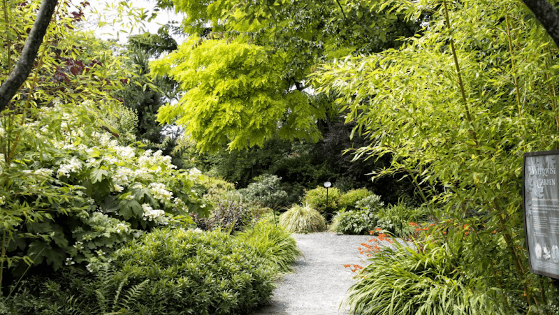 Bellevue Botanical Garden - Image 2