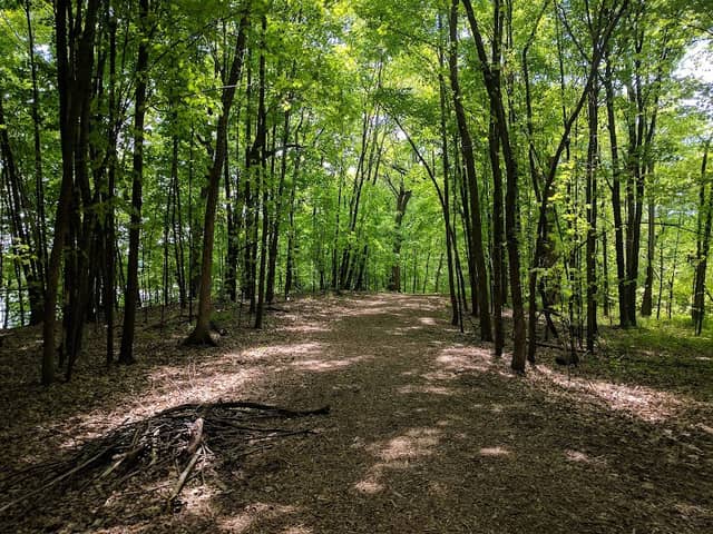 Jeffer's Pond Park - Image 1