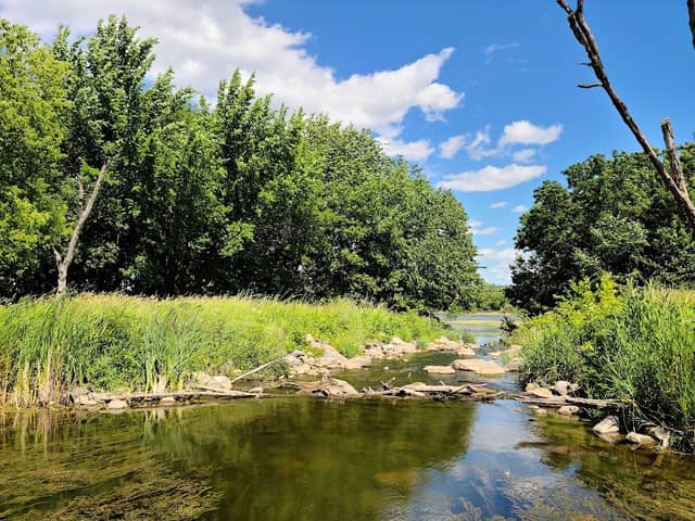 Jeffer's Pond Park - Image 2