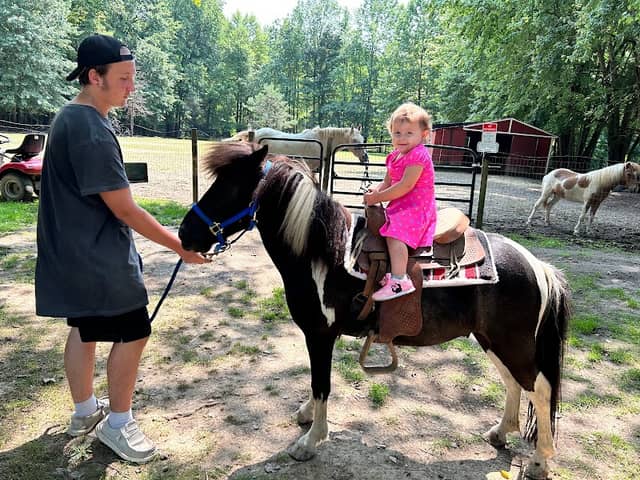 Pony Playtime - Image 1