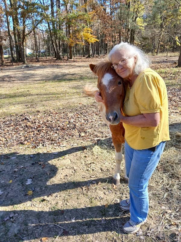 Pony Playtime - Image 2