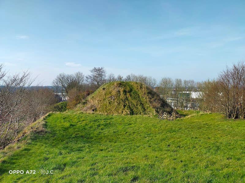 Harryville Motte and Bailey - Image 2