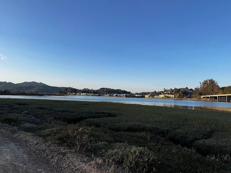 Bothin Marsh Preserve - Image 3
