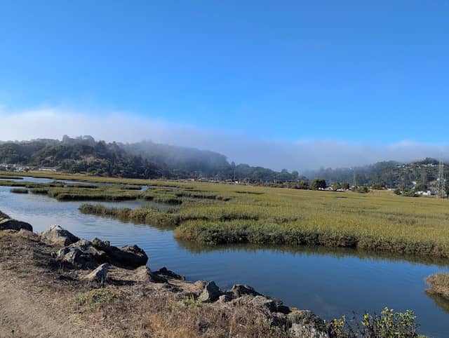Bothin Marsh Preserve - Image 1