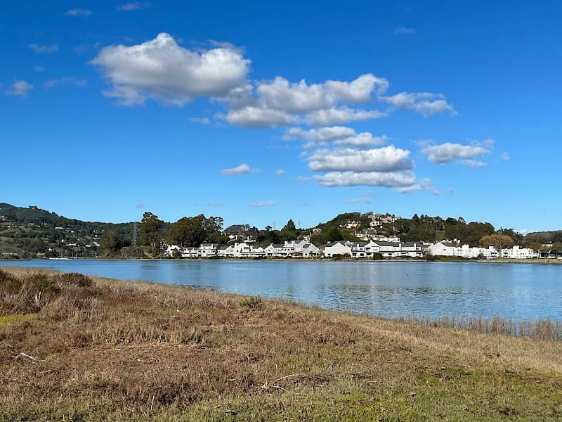 Bothin Marsh Preserve - Image 2