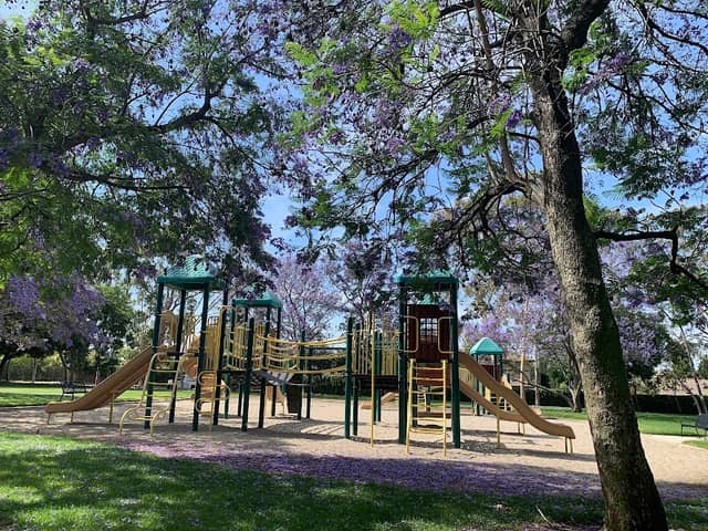 June Vail Park - Image 4