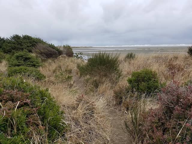 Griffiths-Priday State Park - Image 3