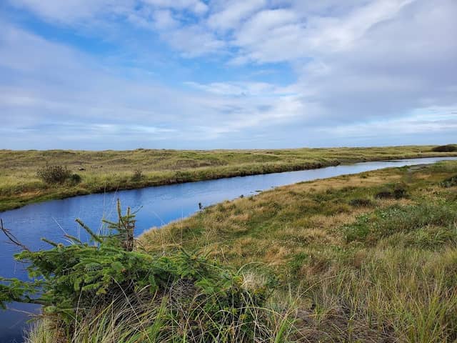 Griffiths-Priday State Park - Image 1