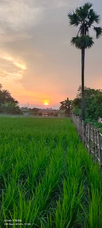 Mango park - Image 1
