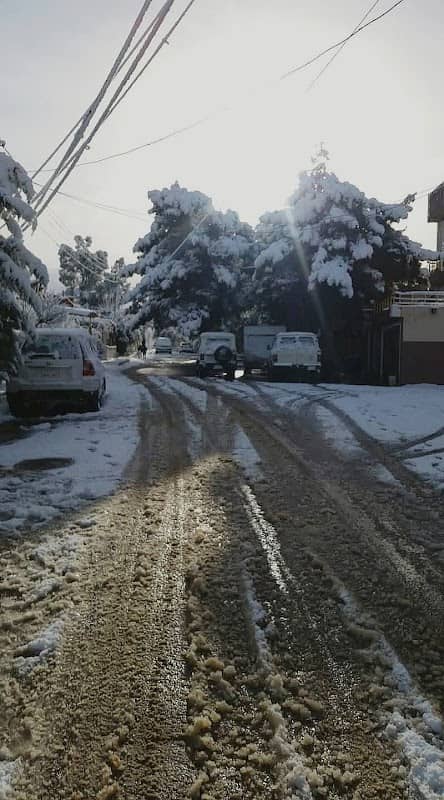 کۆڵانی سنەوبەرەکان - Image 1