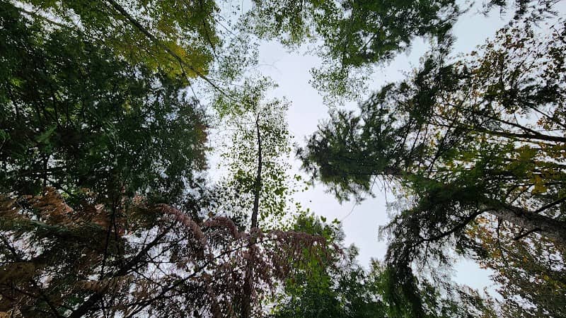 Cedar Park - Image 2