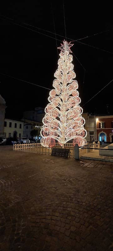Albero di Natale - Image 1