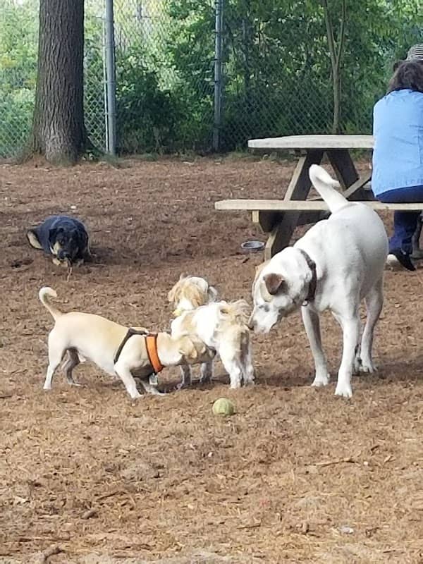Long Hill Memorial Park - Image 2
