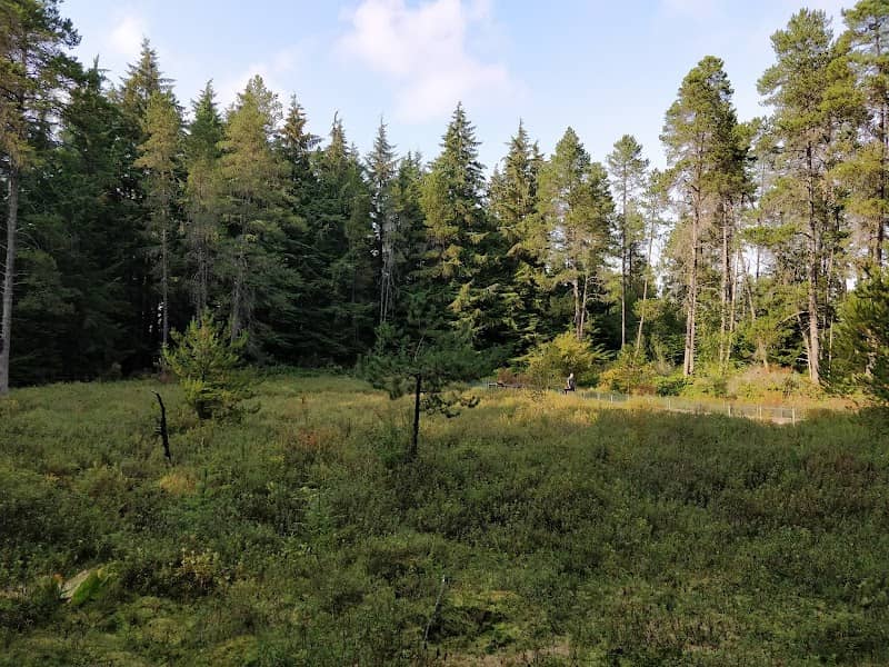 Camosun Bog - Image 1