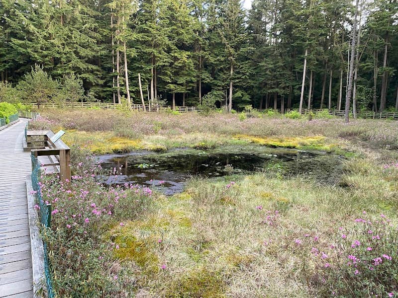 Camosun Bog - Image 2