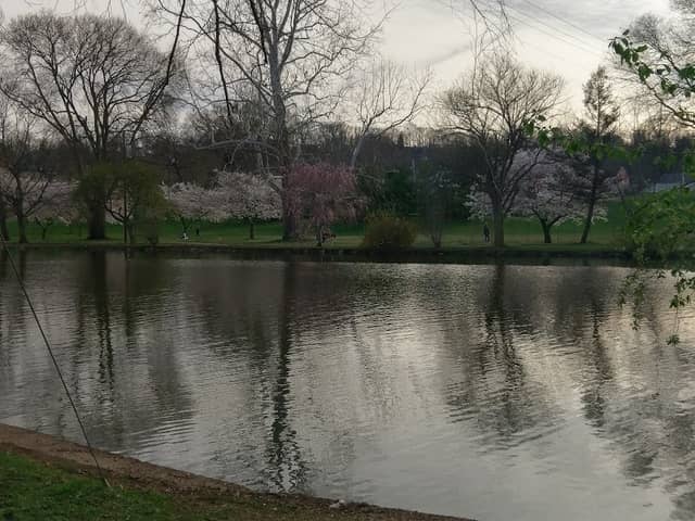 Yoctangee Park - Image 1