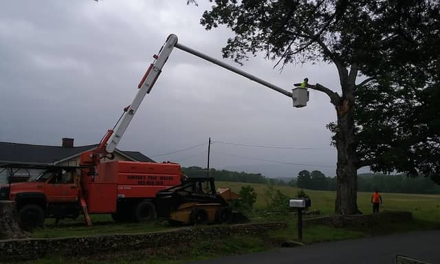 Tennessee Tree Toppers Whitwell Landing Zone - Image 2