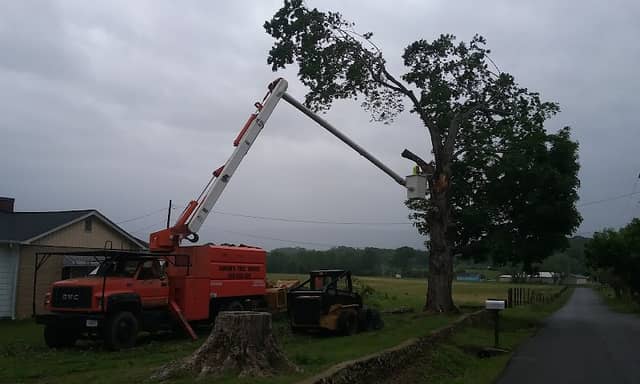 Tennessee Tree Toppers Whitwell Landing Zone - Image 1