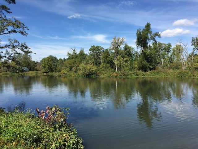 Clifton Reserve - Image 1