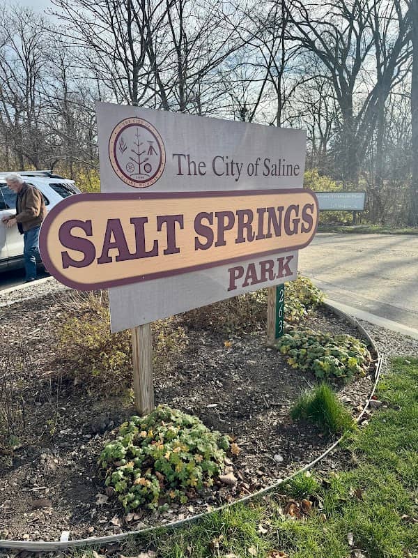 Salt Springs Park - Image 1