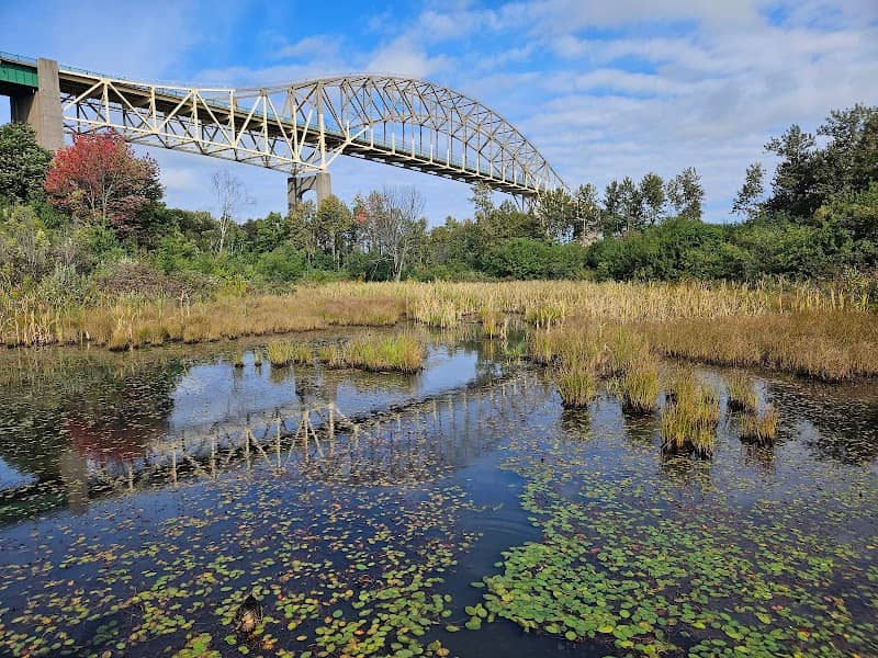 Whitefish Island River Viewpoint - Image 1