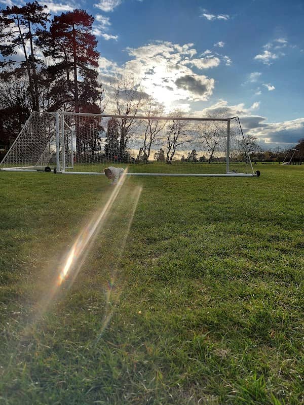 Gosfield Park - Image 2