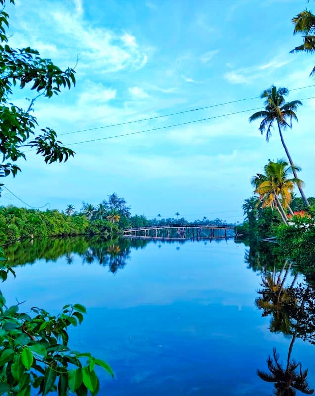 Aaratuvazhi Viewpoint - Image 1