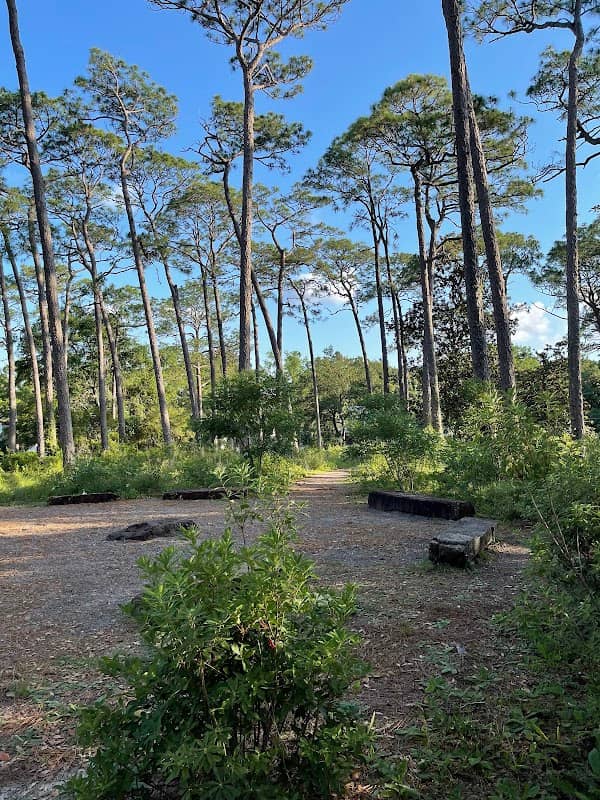 Knoll Park - Image 2