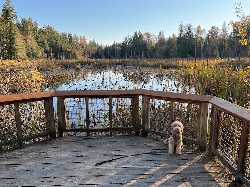 Hazel Wolf Wetlands - Image 2