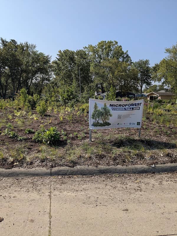 Warren Micro Forest - Image 1