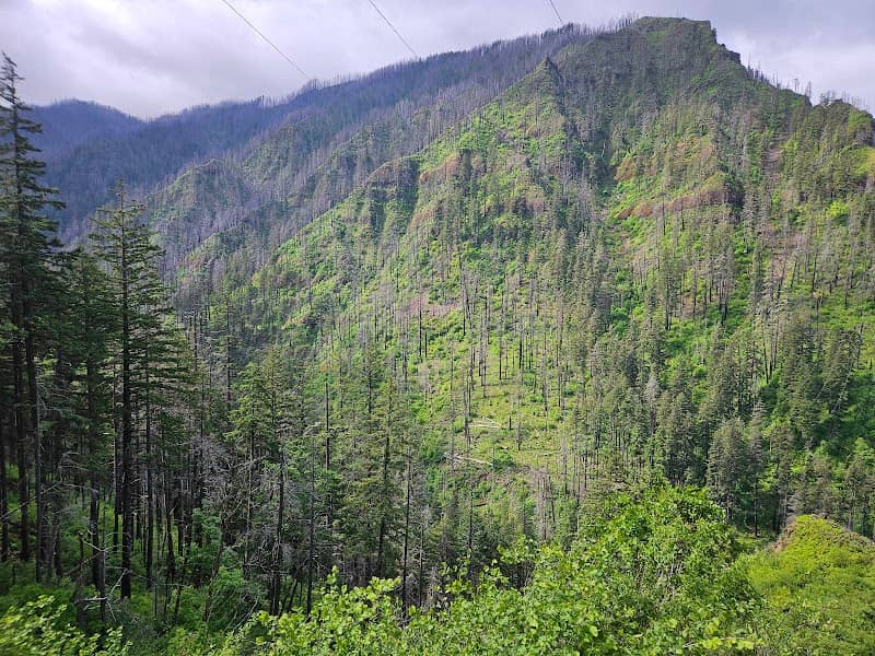 Buck Point Trail - Image 1
