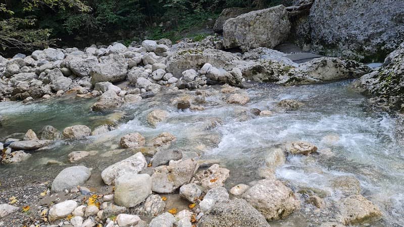 Căzătoarea Mică - Image 2