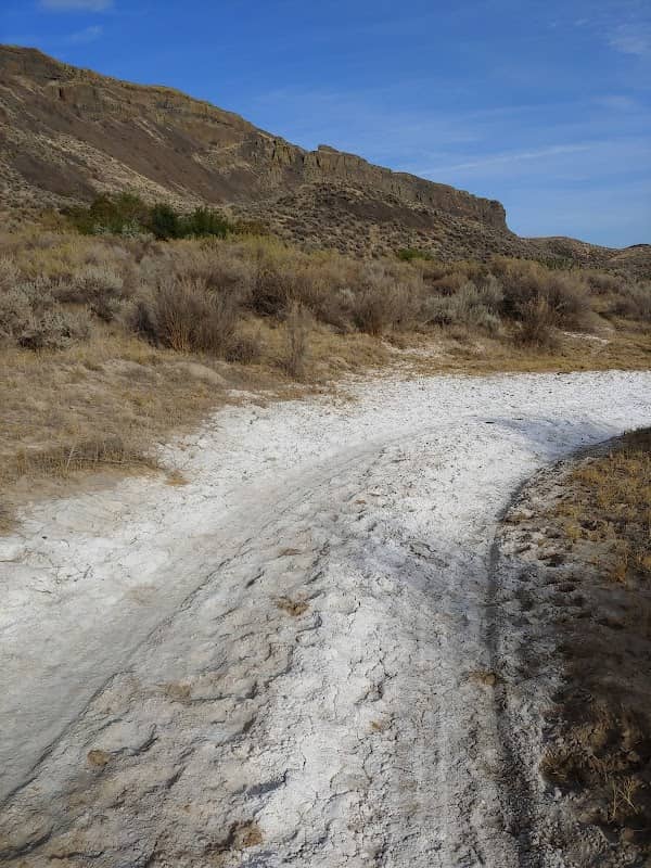 Upper Banks Lake Wildlife Area - Image 3