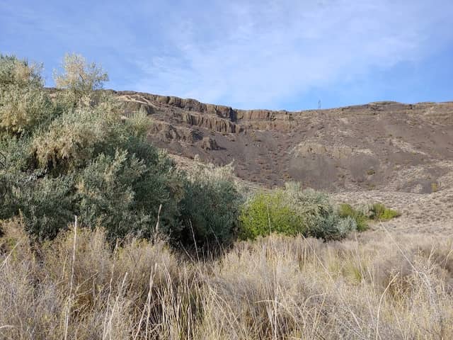 Upper Banks Lake Wildlife Area - Image 1