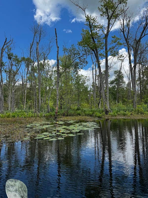 Great Swamp Canoe/Kayak Launch - Image 2