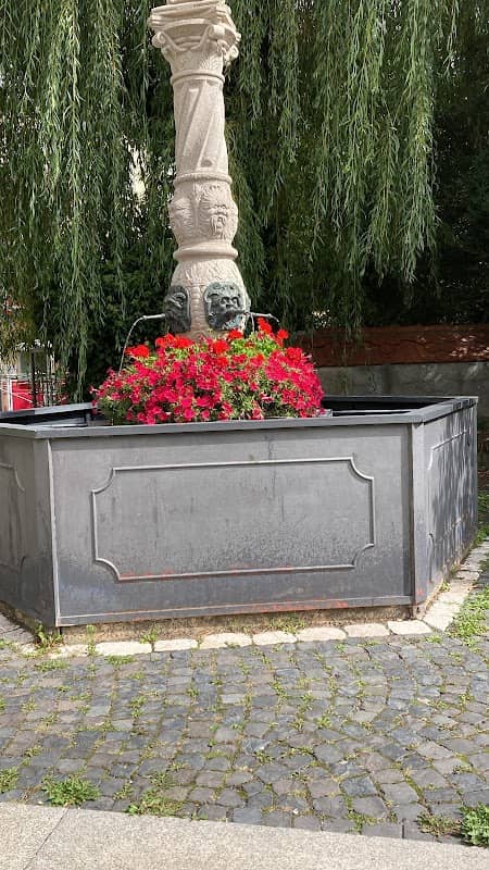 Erbiskasten Brunnen Ulm - Image 1