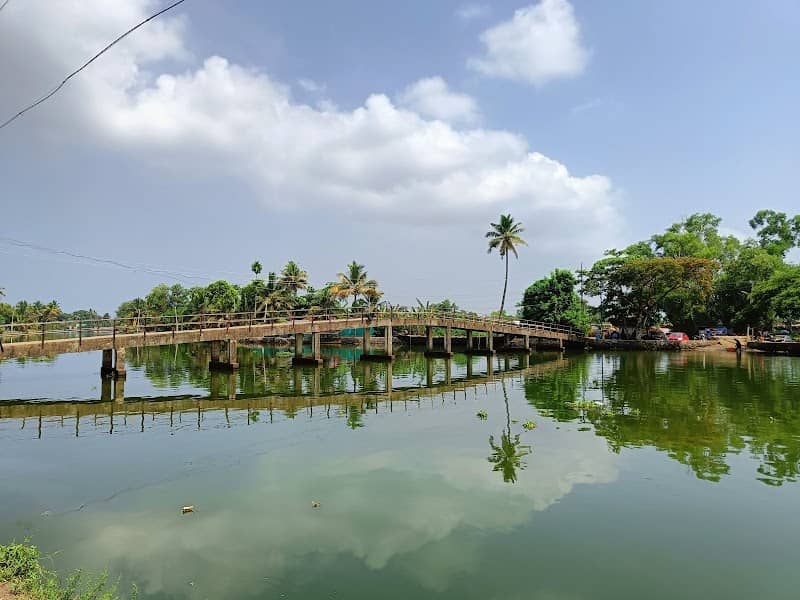 Pallathuruthy Back Waters - Image 1