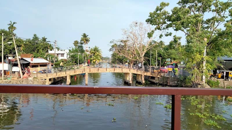 Pallathuruthy Back Waters - Image 3