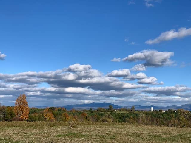 Wheeler Nature Park - Image 2