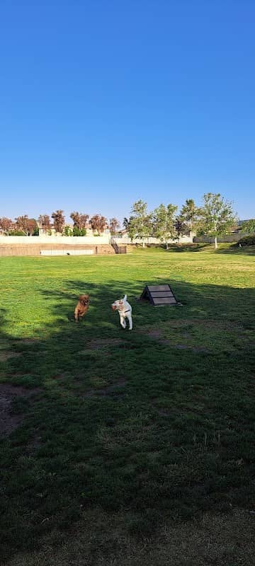 Paws Dog Park - Image 1