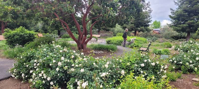 Meditation Garden @ Kevin Moran Park - Image 2
