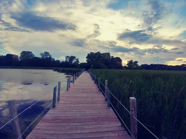 Timber Shores Park - Image 2