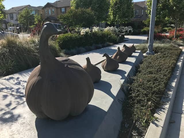 Gaggle of Garlic Geese - Image 1