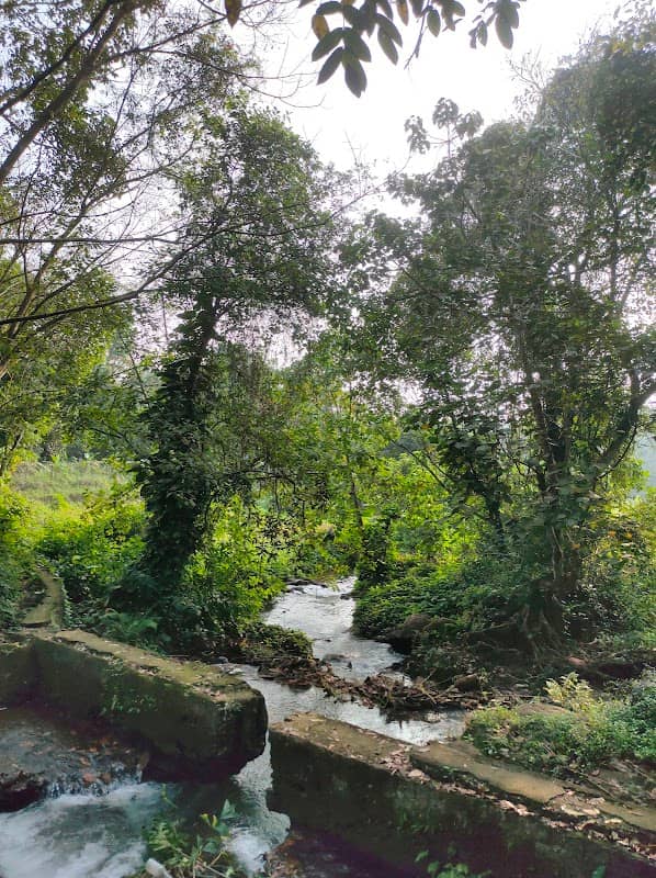 KALLUMKUZHI WATERFALL (കല്ലുംകുഴി വെള്ളച്ചാട്ടം) - Image 1