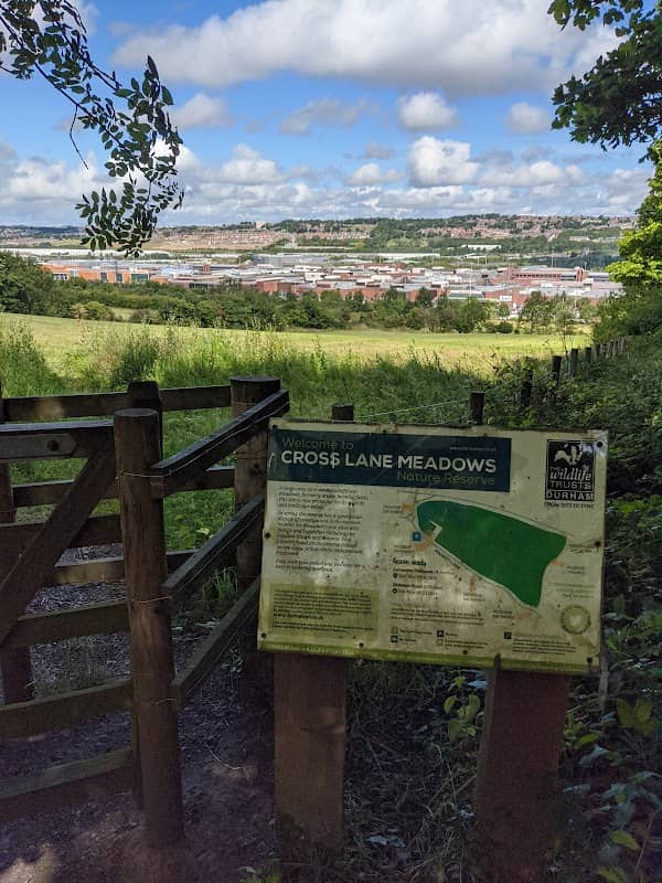Cross Lane Meadows - Image 1