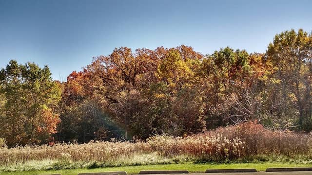 Rush Creek Conservation Area - Image 1